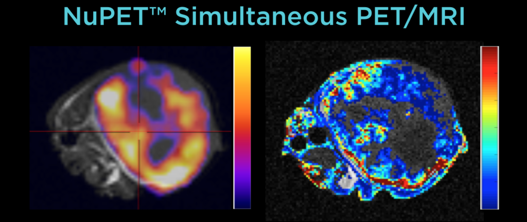 U Arizona NuPET PET-DCE MR Image of A549 mouse tumor